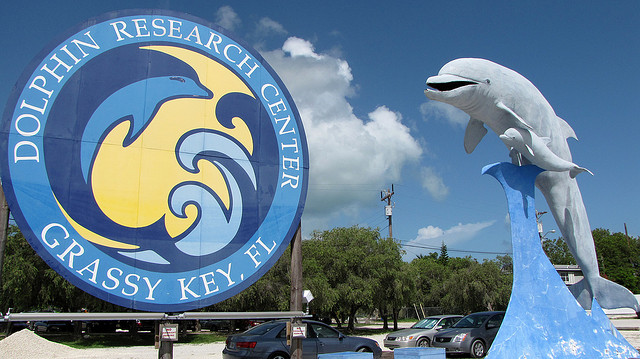 Dolphin Research Center